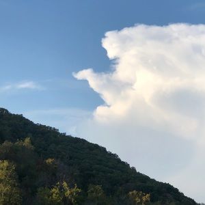 Meet your Posher, Tonia